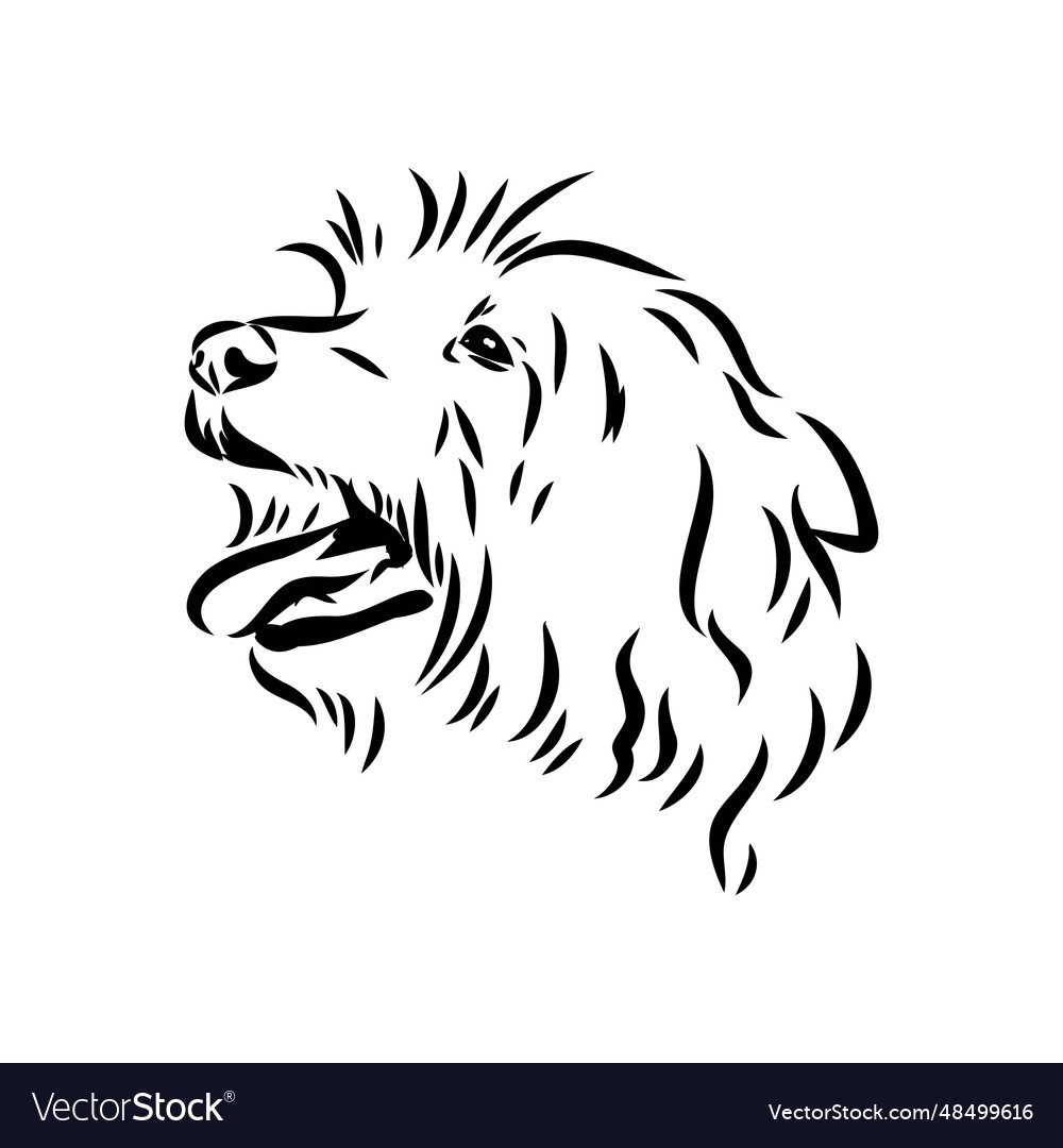 Decorative outline portrait of dog australian