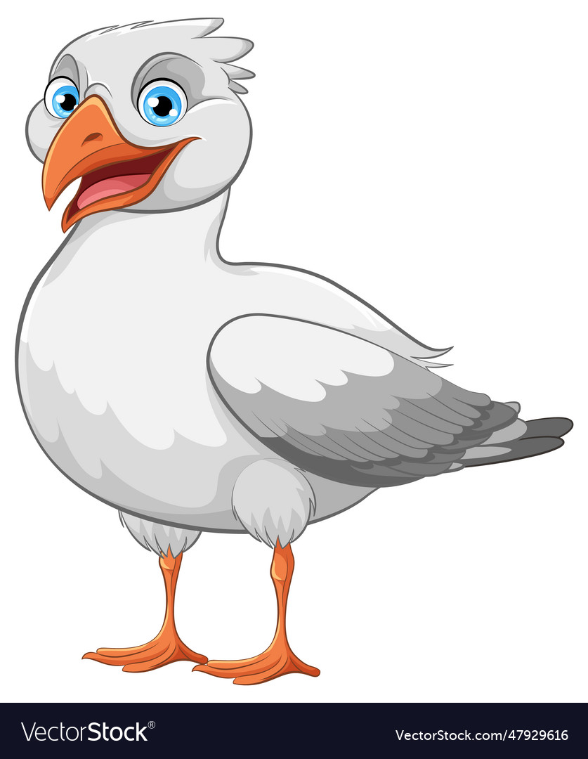 Seagull standing isolated Royalty Free Vector Image