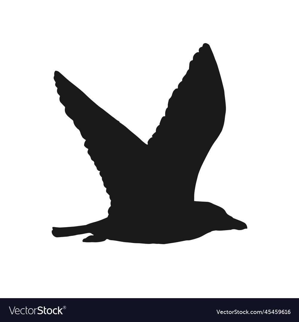 Silhouette of flying seagulls hand drawn Vector Image