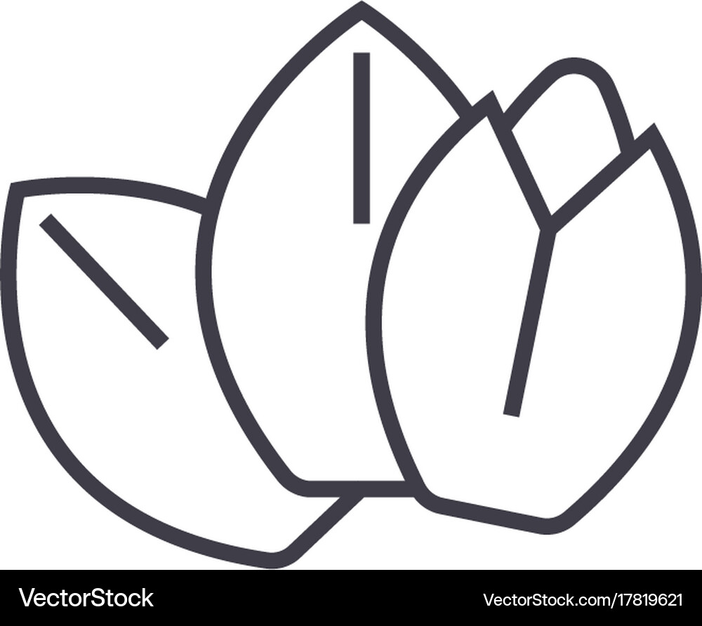 Almond line icon sign Royalty Free Vector Image