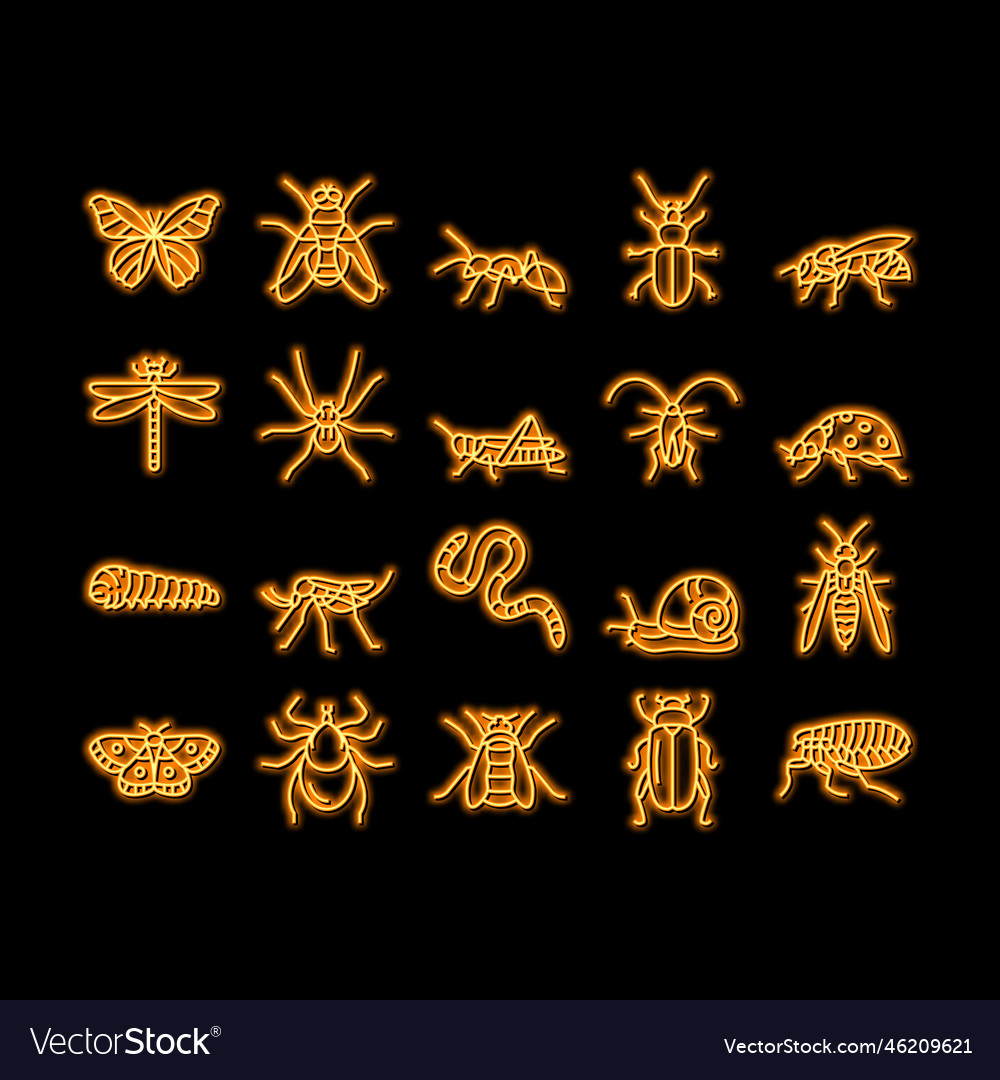 Insect spider and bug wildlife neon glow icon