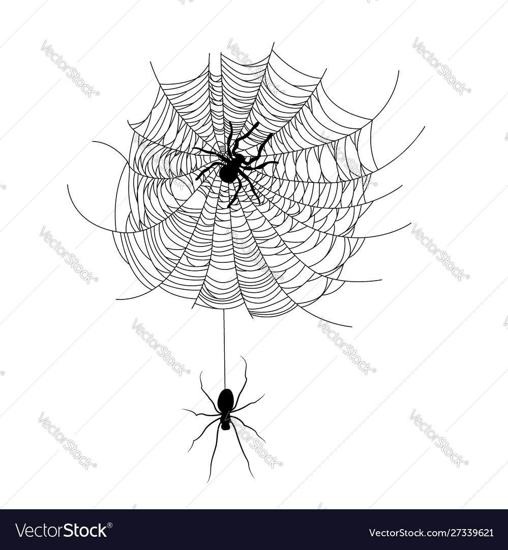 Set spider web different shapes with black vector image Set spider web different shapes with black