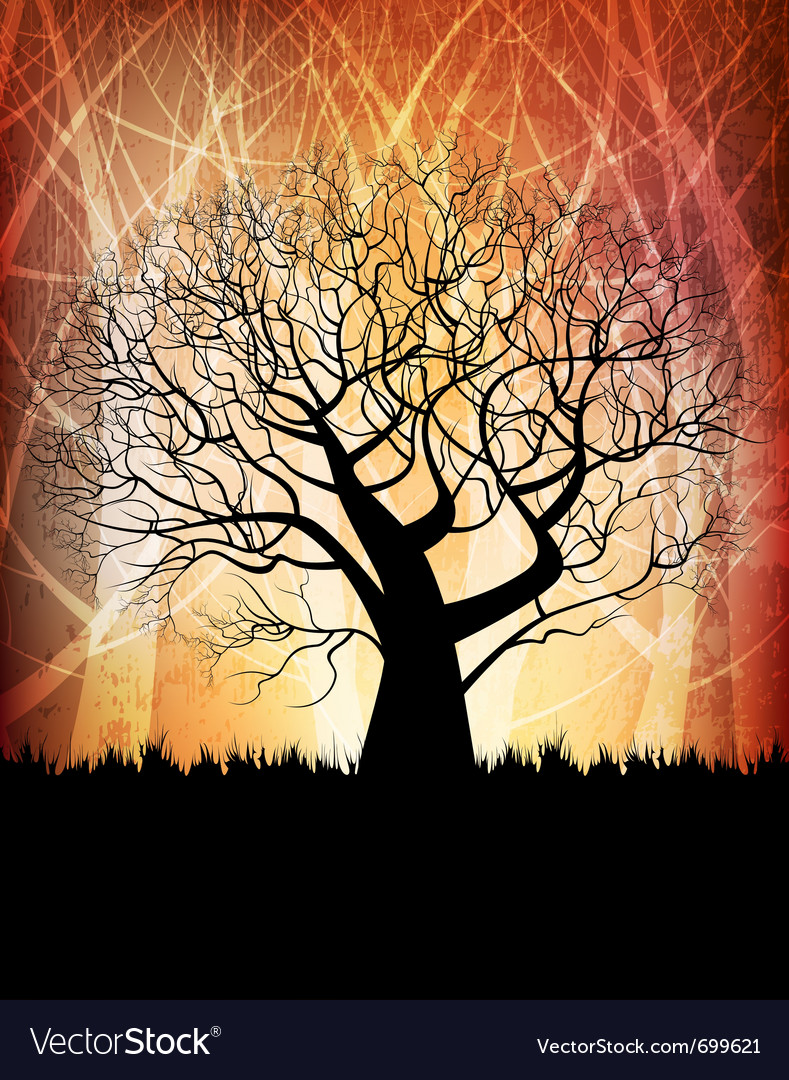 Tree background