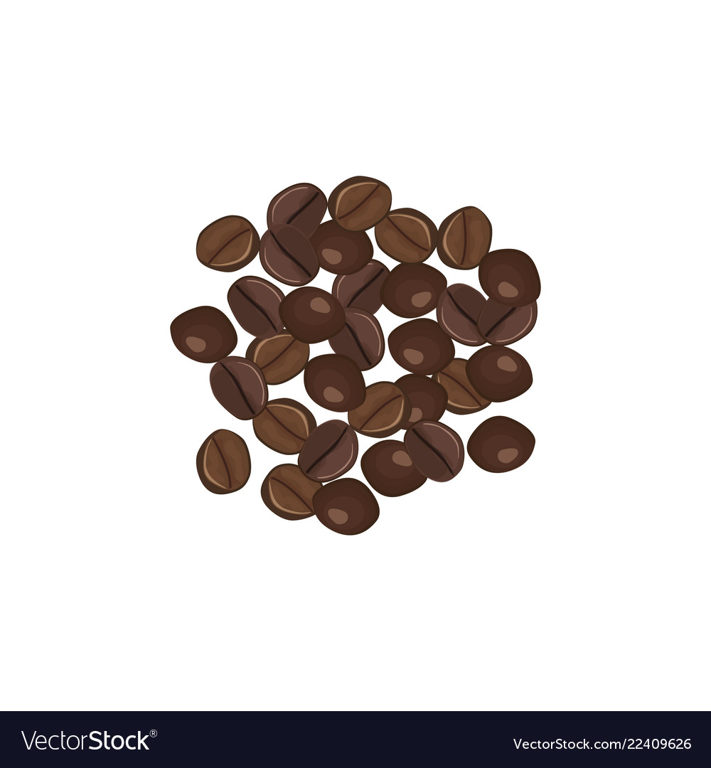 Types of robusta coffee beans hot drink