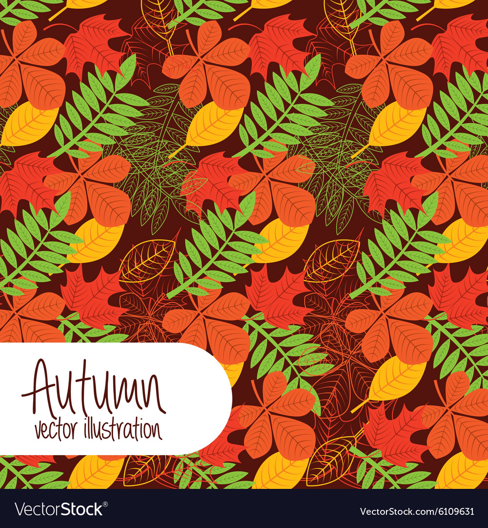Design Royalty Free Vector Image - VectorStock