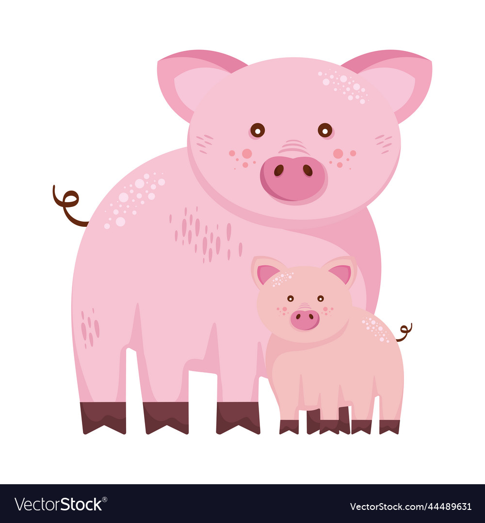 Family porks animals farms