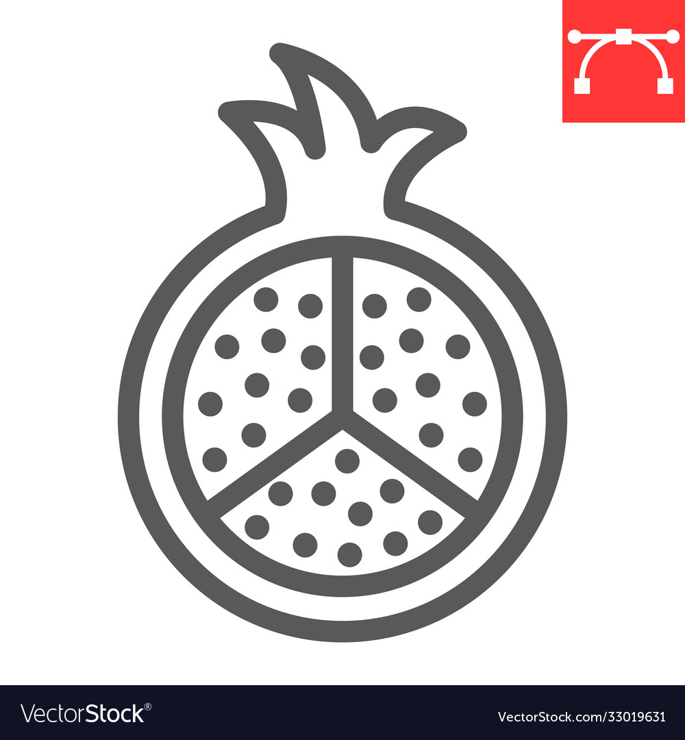 Pomegranate line icon fruit and punica garnet vector image Pomegranate line icon fruit and punica garnet