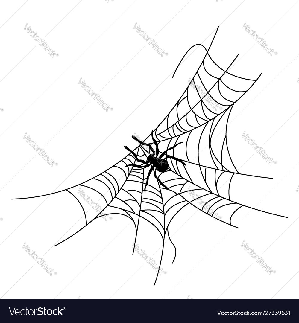 Set spider web different shapes with black vector image Set spider web different shapes with black