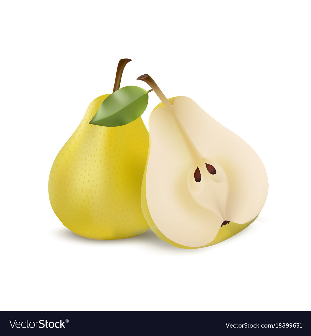 Two yellow pears in modern realistic style