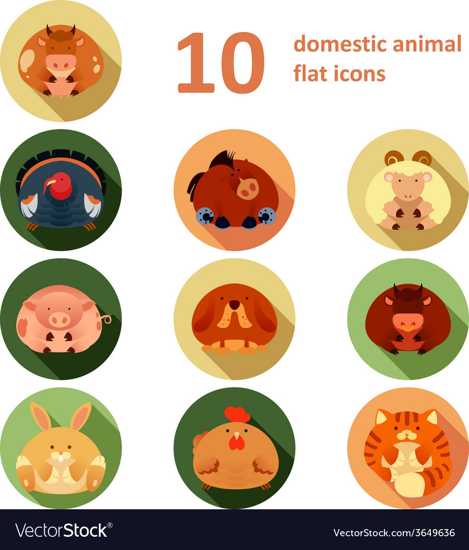 Flat animals