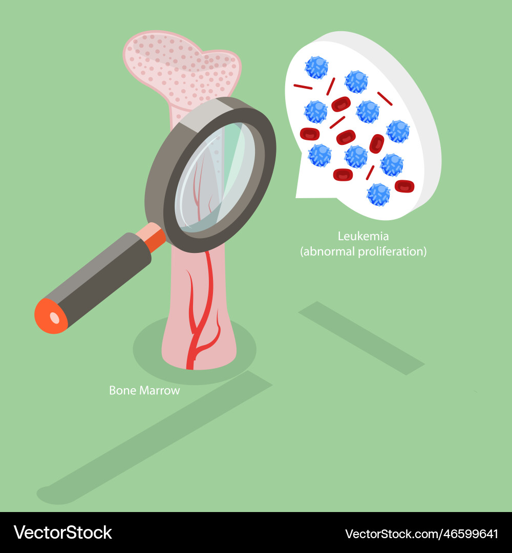 3d isometric flat conceptual Royalty Free Vector Image