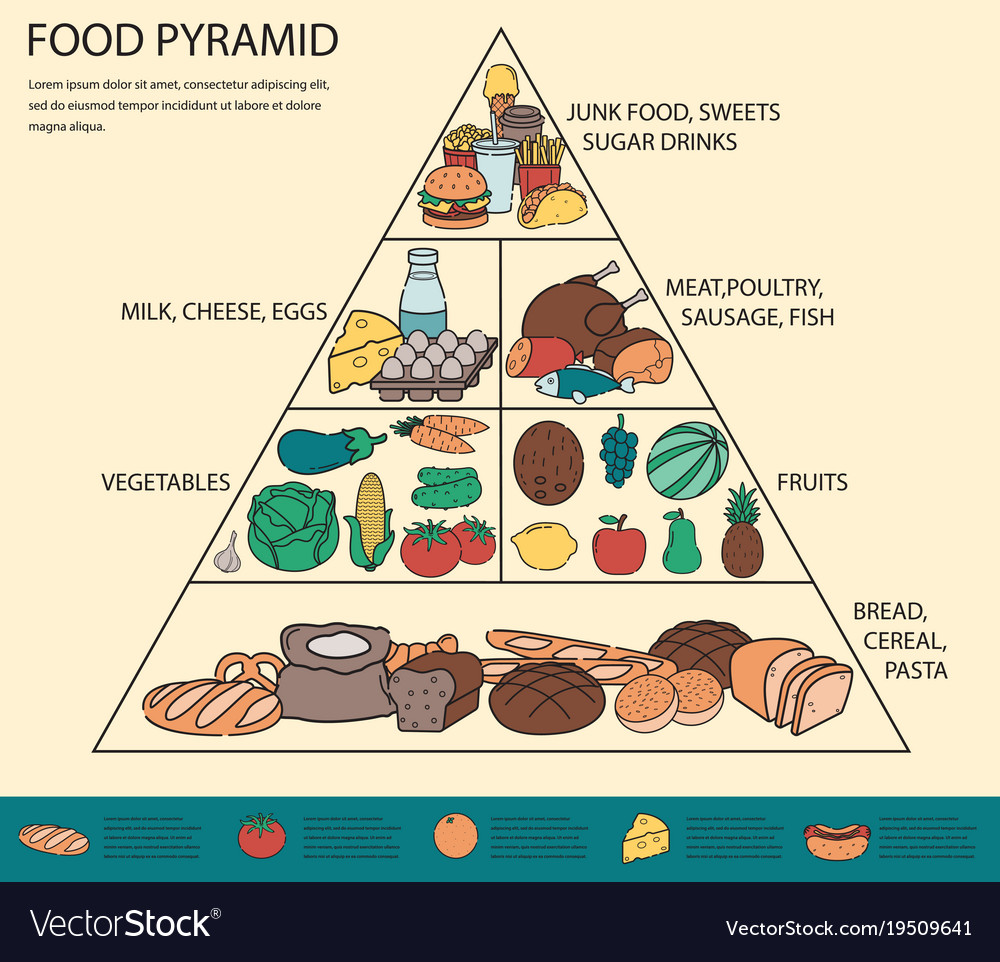 Food Pyramid Healthy Eating Infographic Healthy Vector Image