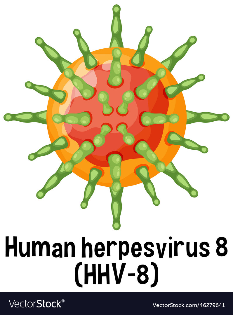 Human herpesvirus 8 hhv with text