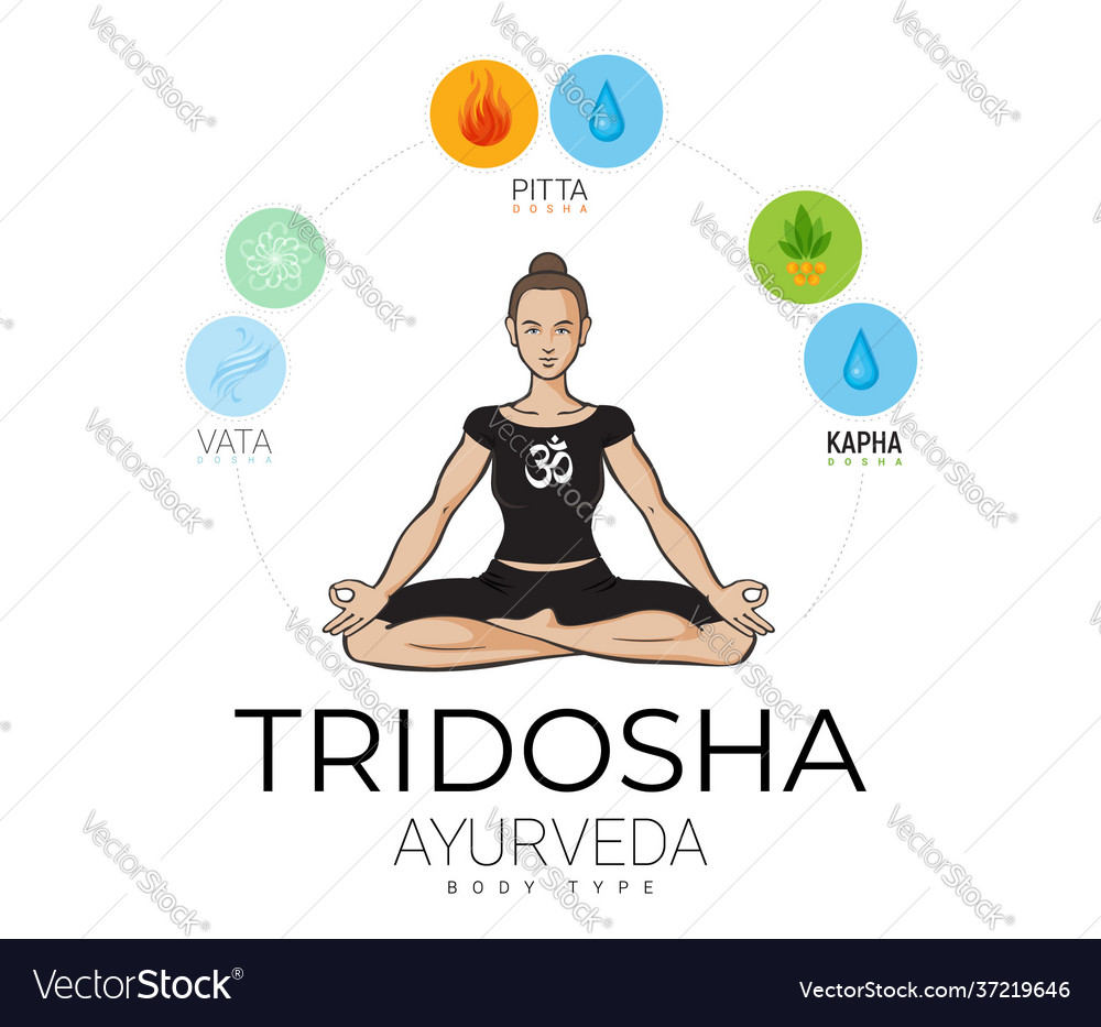 Ayurvedic Doshas In Balance Yogi Woman Royalty Free Vector