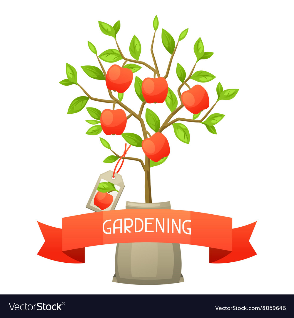 Seedling apple tree with tag
