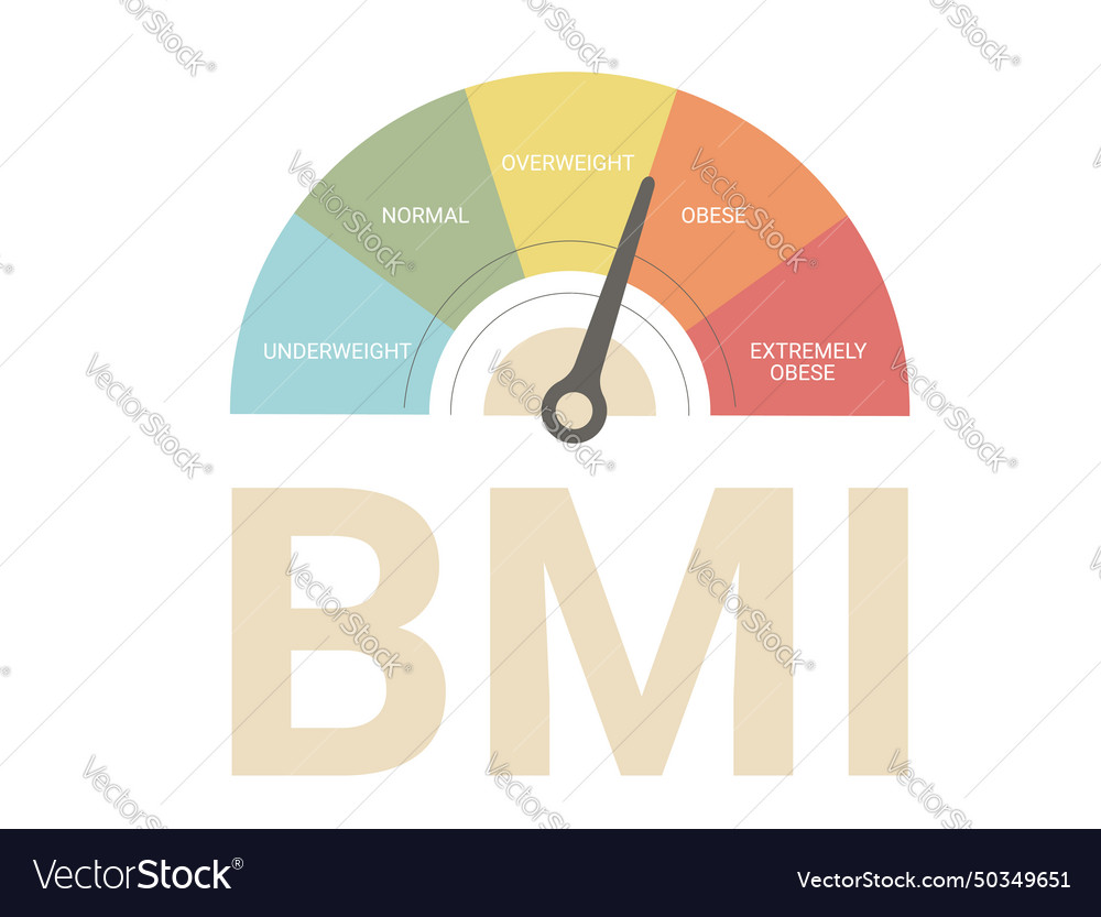 Bmi indicator with text body mass index weight