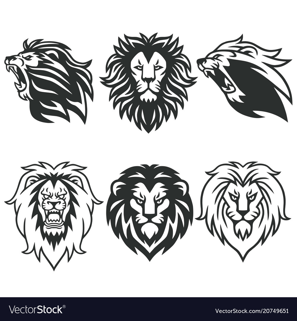 Lion logo package premium design collection set Vector Image