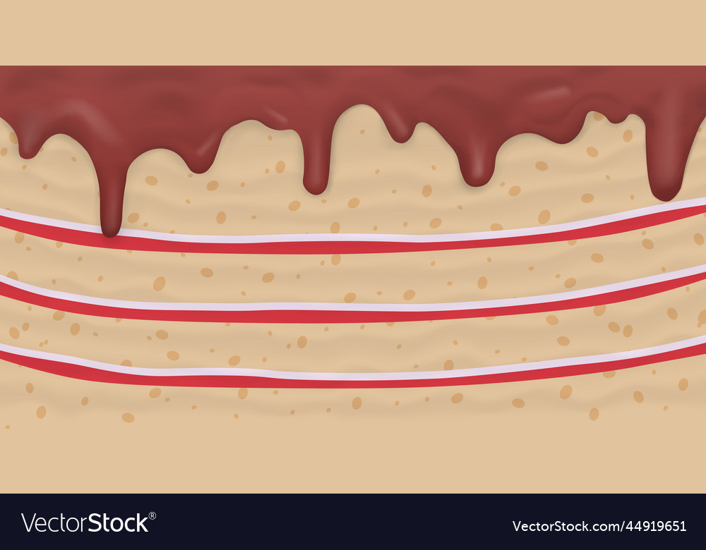 Panoramic background layer cake food texture