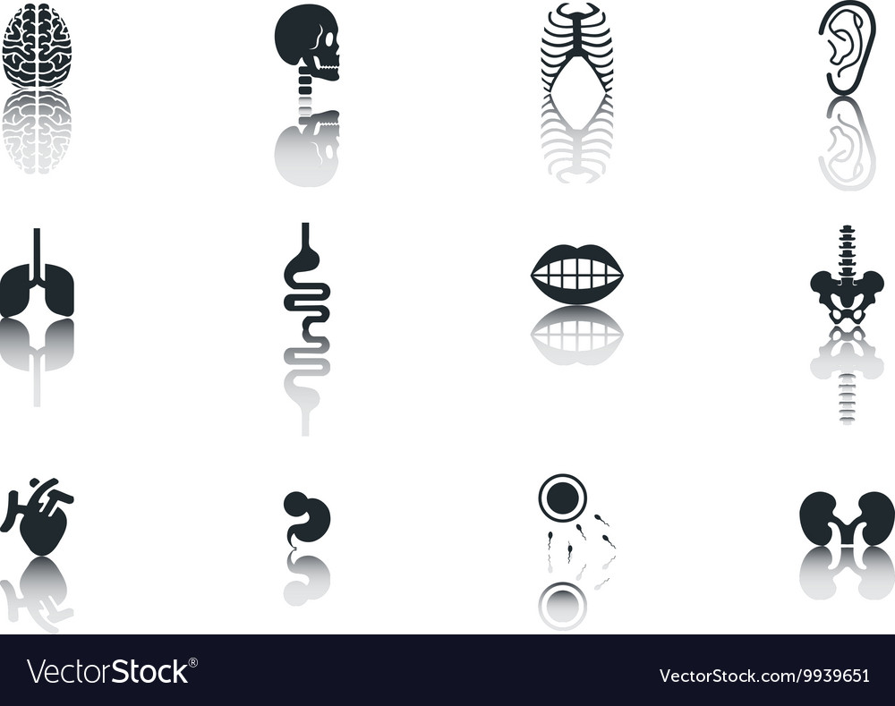 Simple set of organs related icons