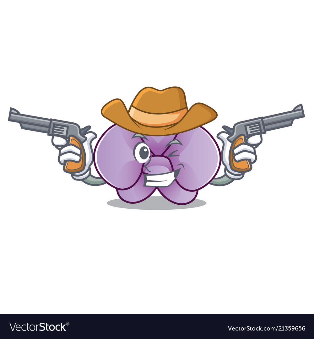 Cowboy orchid flower character cartoon