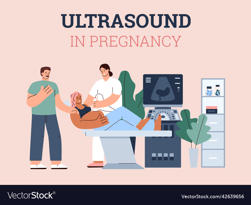 Ultrasound checkup in pregnancy banner flat Vector Image