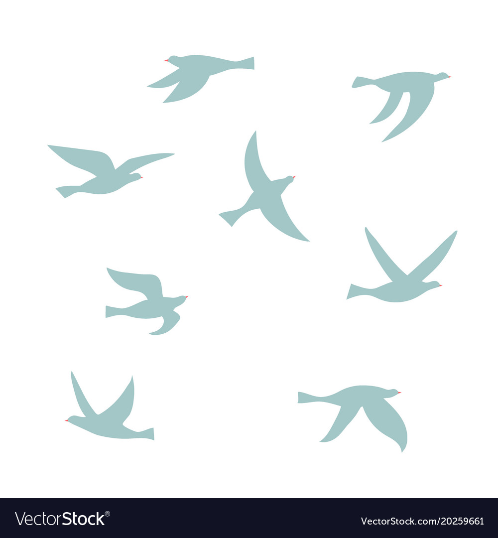 Silhouette of a flock birds