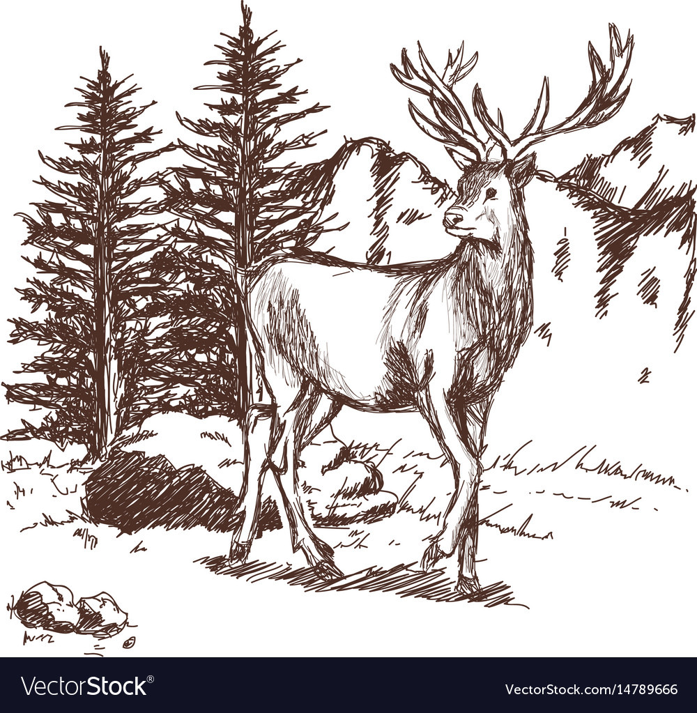 Hand-Drawn Hirsch mit großen Geweihen