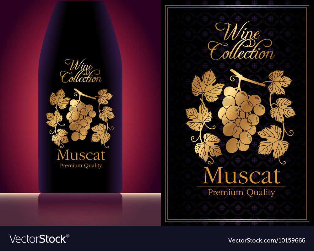 Wine label template Royalty Free Vector Image VectorStock