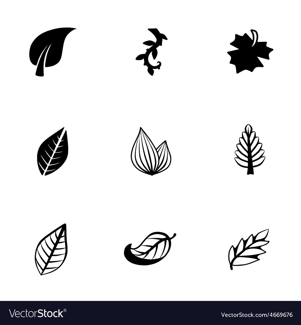 Leaf icon set Royalty Free Vector Image - VectorStock