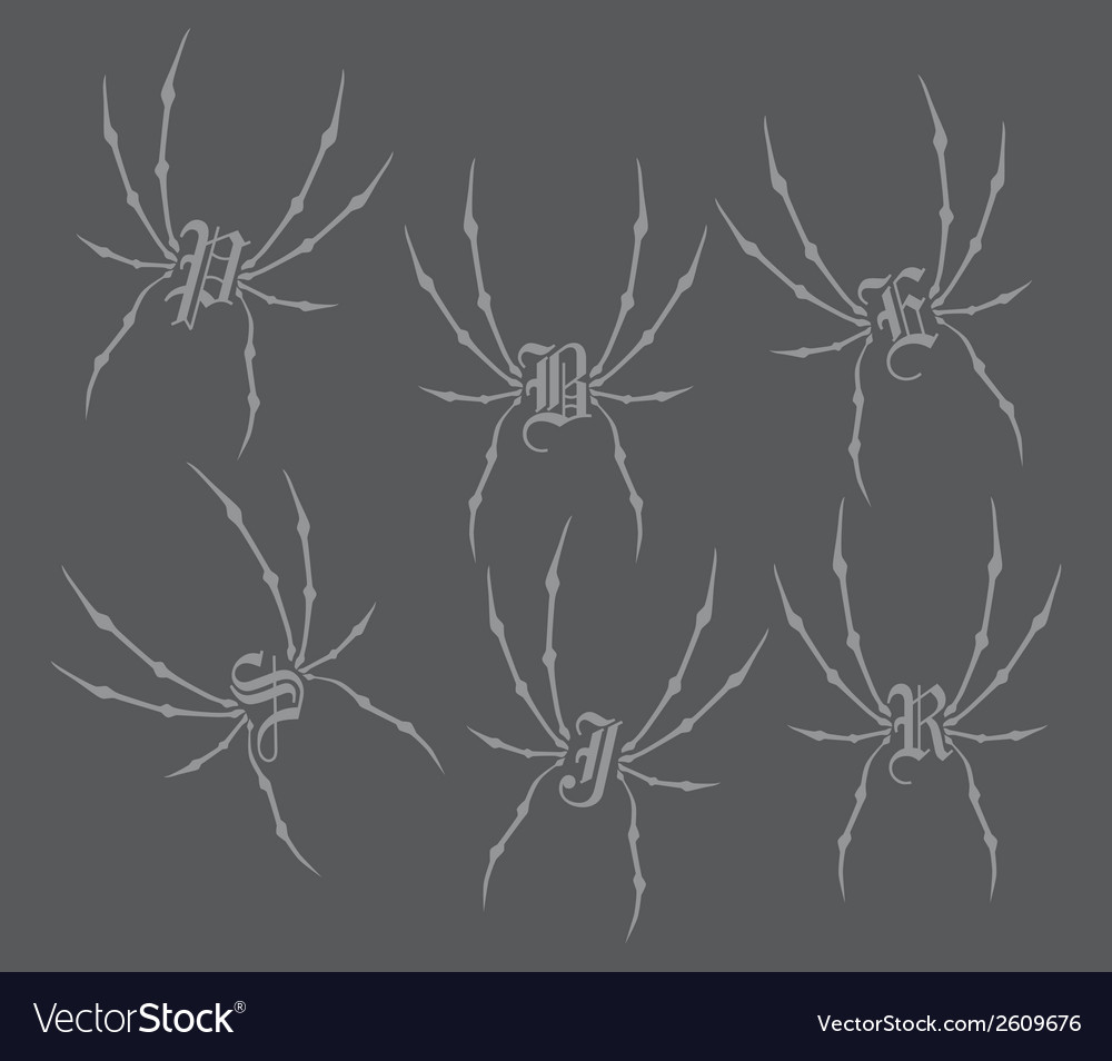 Spider letter