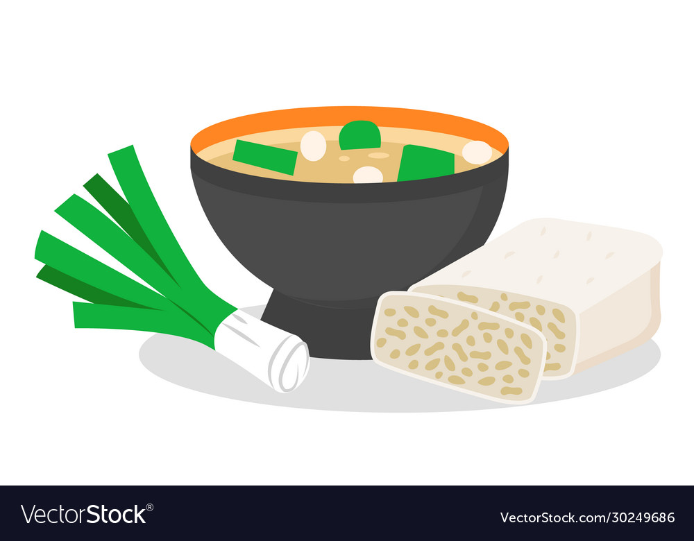 Delicious miso soup with bow and tempeh meal set Vector Image