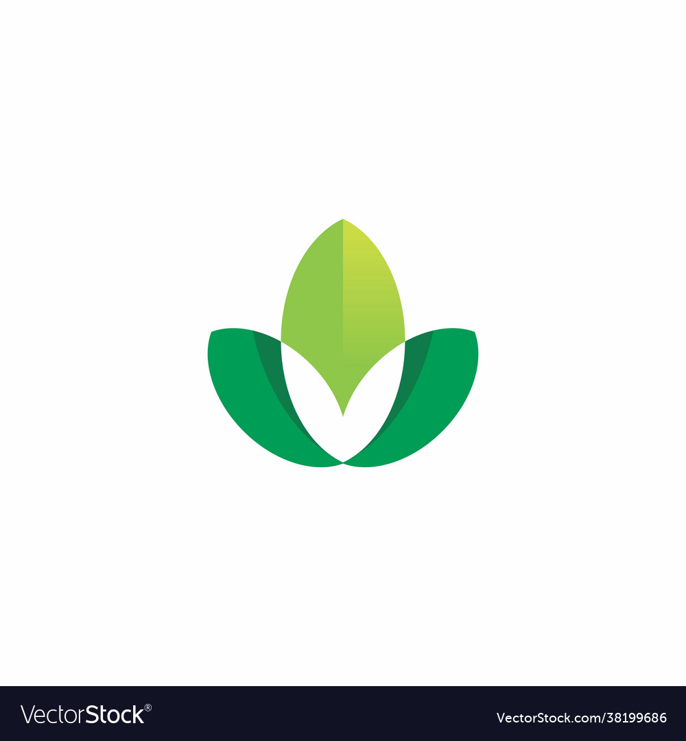 Nature leaf logo flower herbal icon