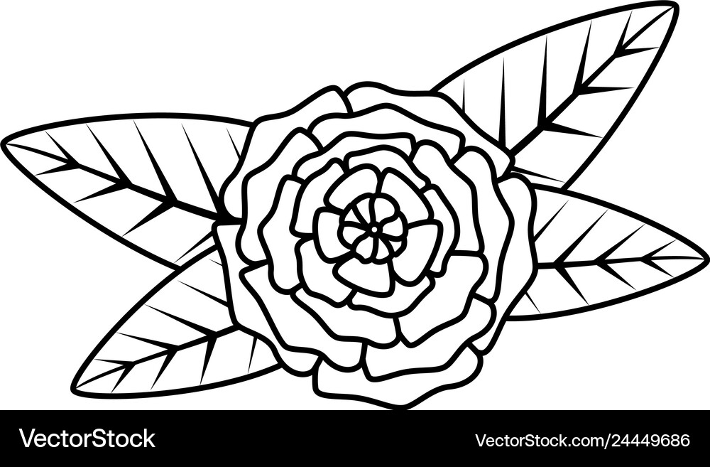 Rose with leafs icon Royalty Free Vector Image