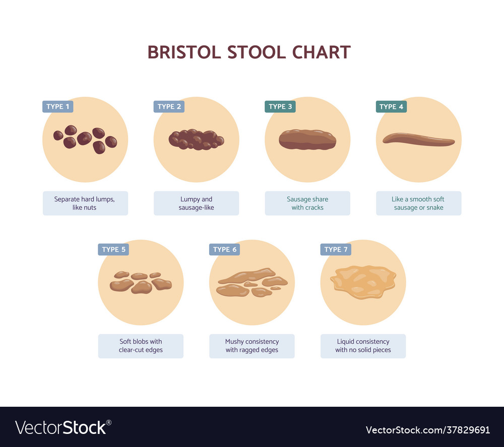 Bristol Stool Chart With Medicine Description Vector Image