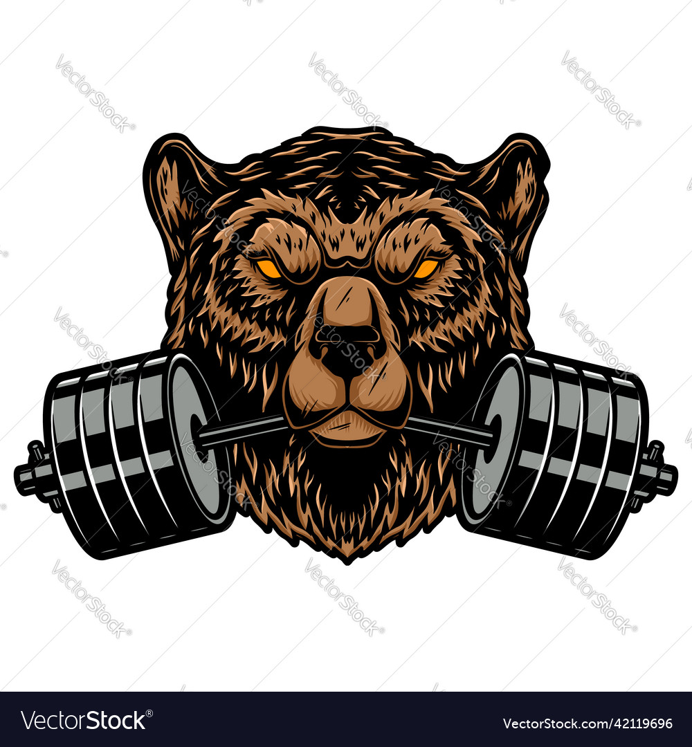Bear barbell cheap