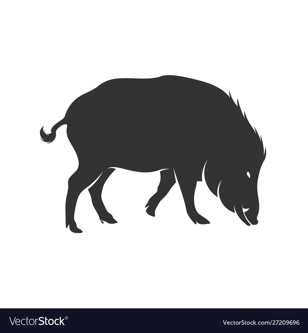 Wild boar logo design template icon symbol Vector Image