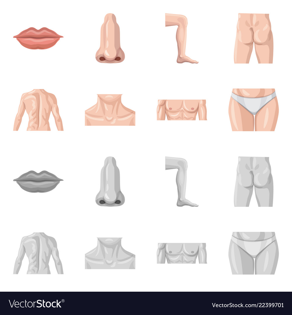 Design of human and part symbol collection