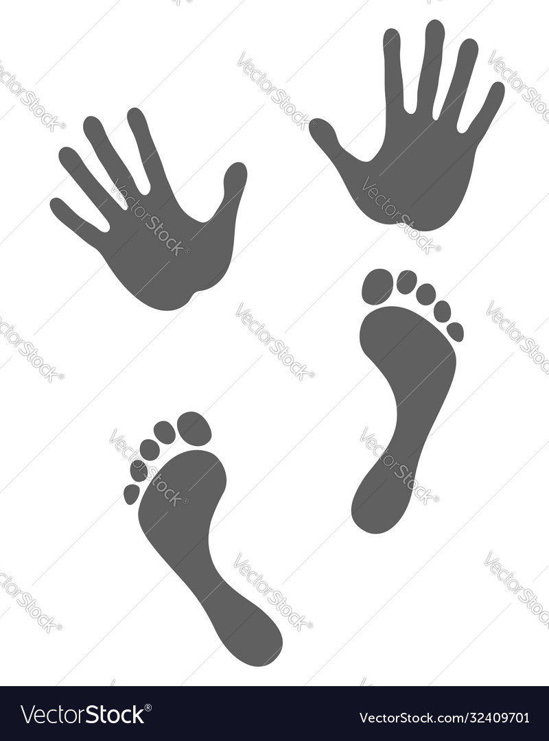 Feet and hands Royalty Free Vector Image VectorStock