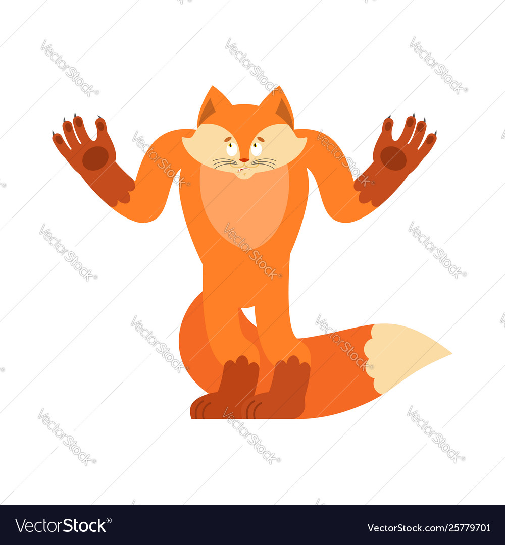 Fox confused oops wild beast perplexed emotions Vector Image Fox confused oops wild beast perplexed emotions