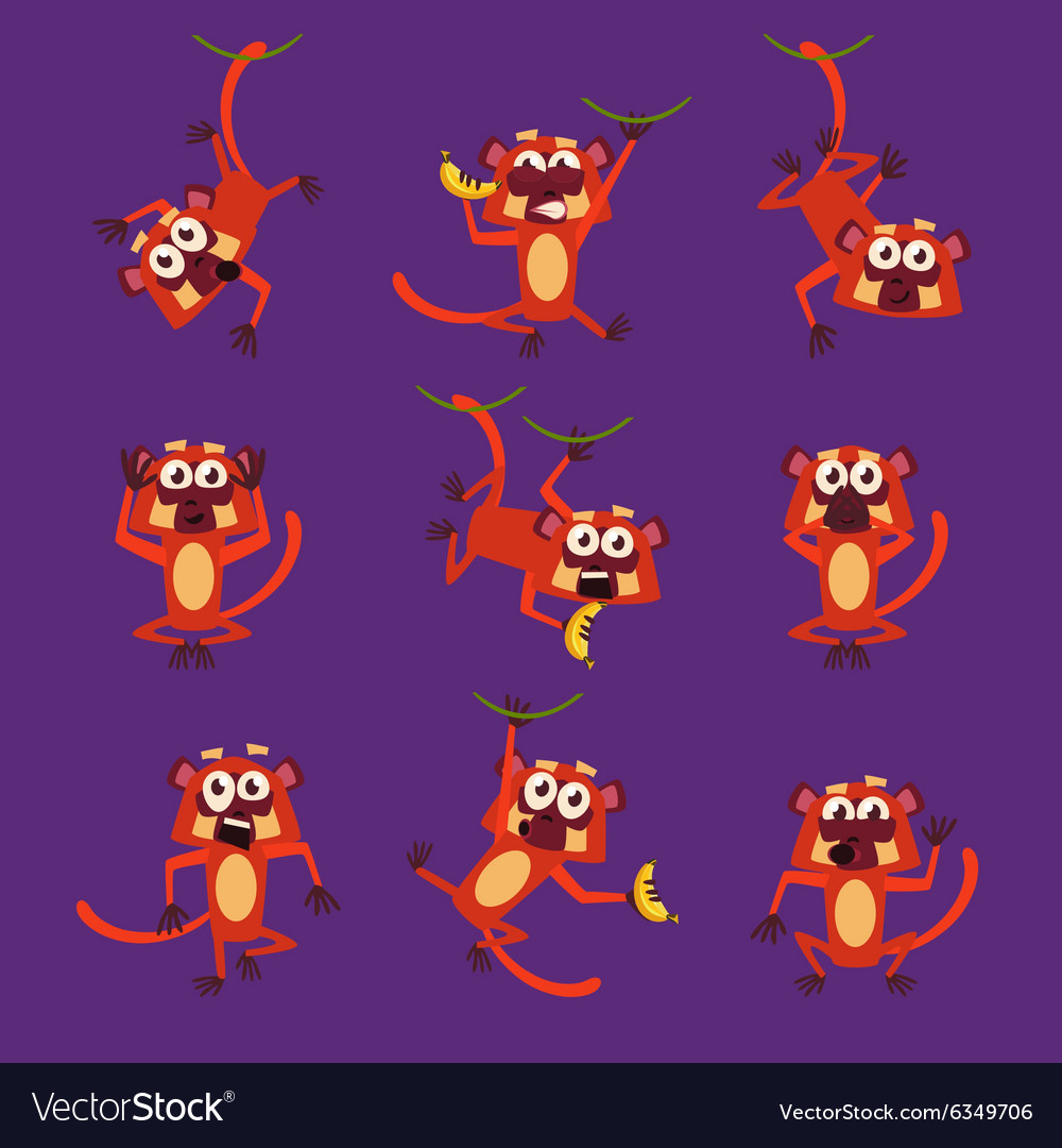 Monkeys in different poses