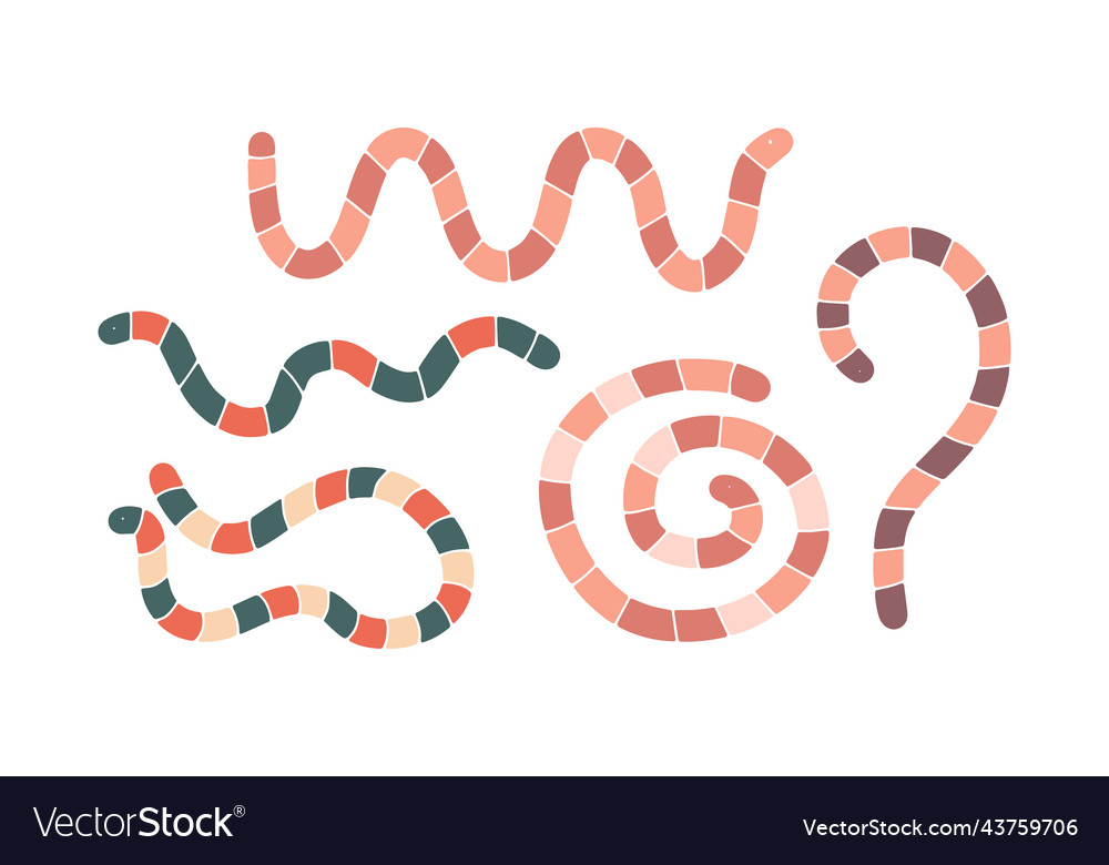 Set Of Cute Hand Drawn Cartoon Worms In Different Vector Image