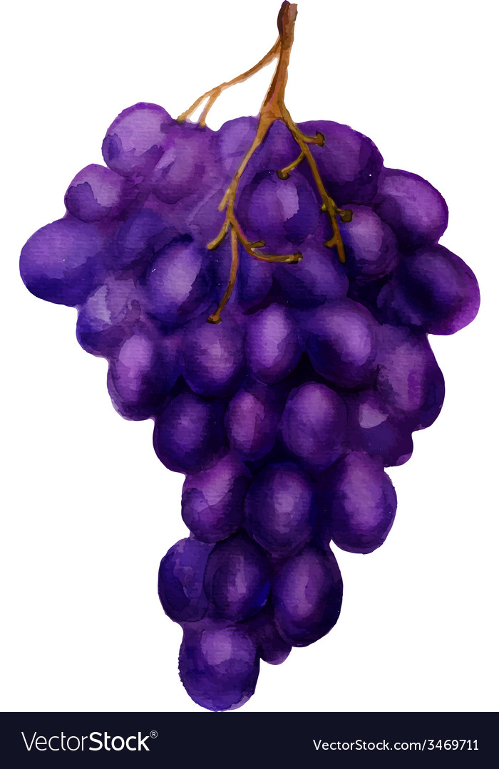 Dark grape