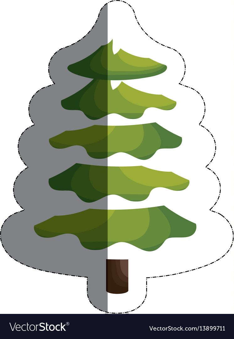 Pine tree icon
