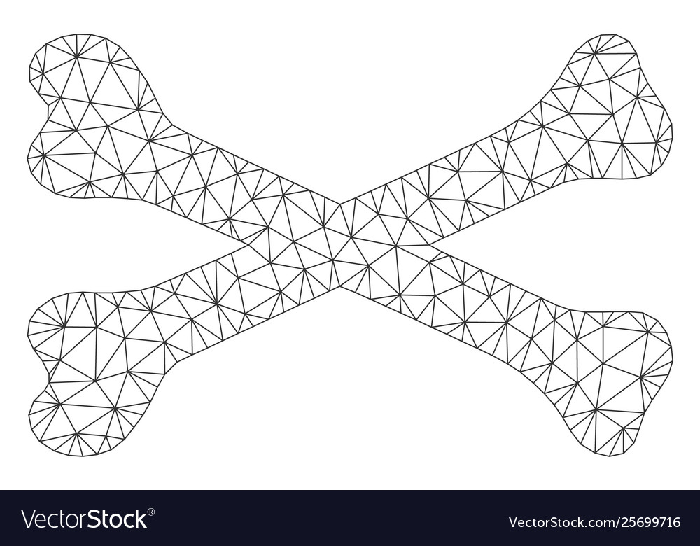 Bones polygonal frame mesh vector image Bones polygonal frame mesh
