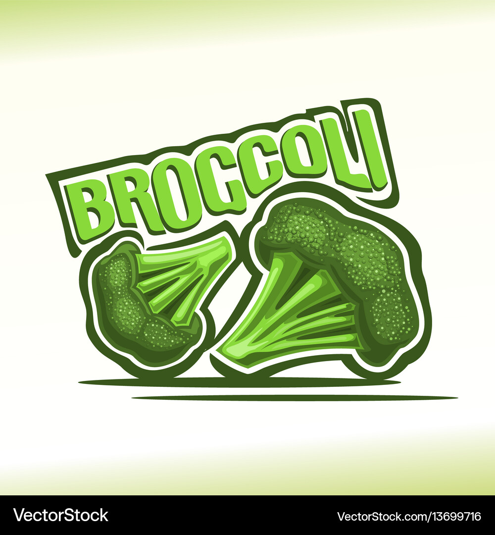 Broccoli Royalty Free Vector Image - VectorStock