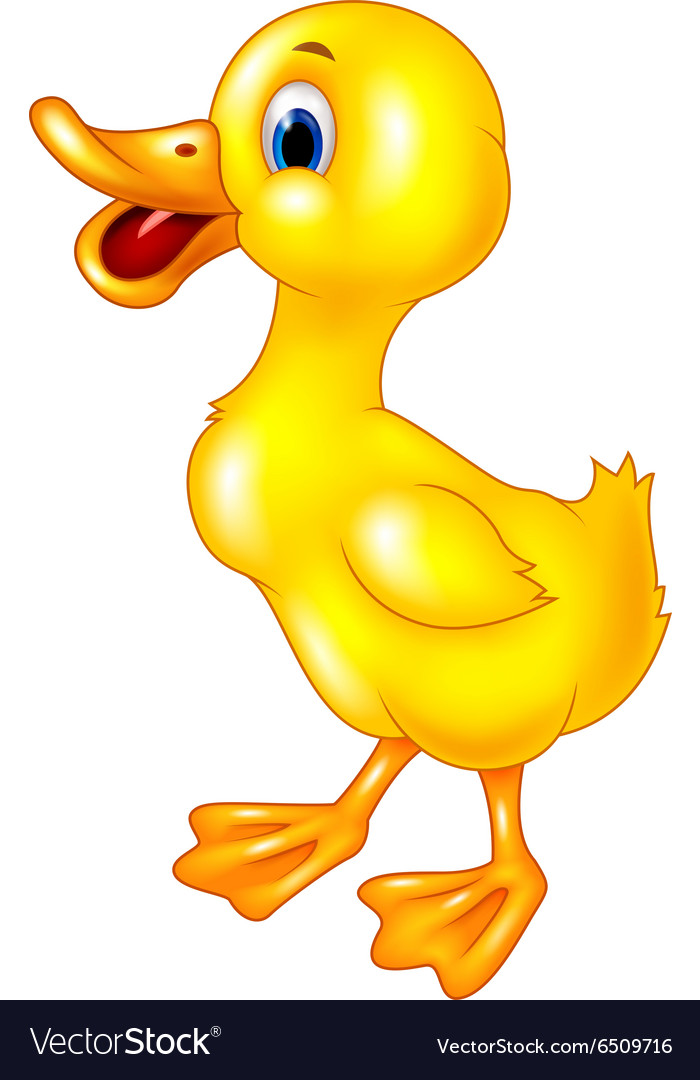 Cartoon baduck isolated on white background Vector Image