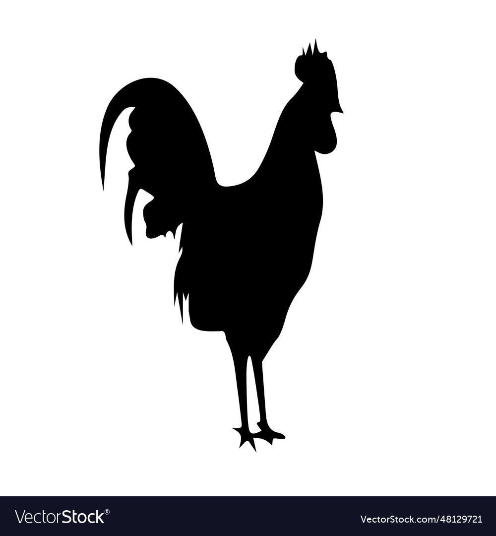 Roosters standing image Royalty Free Vector Image