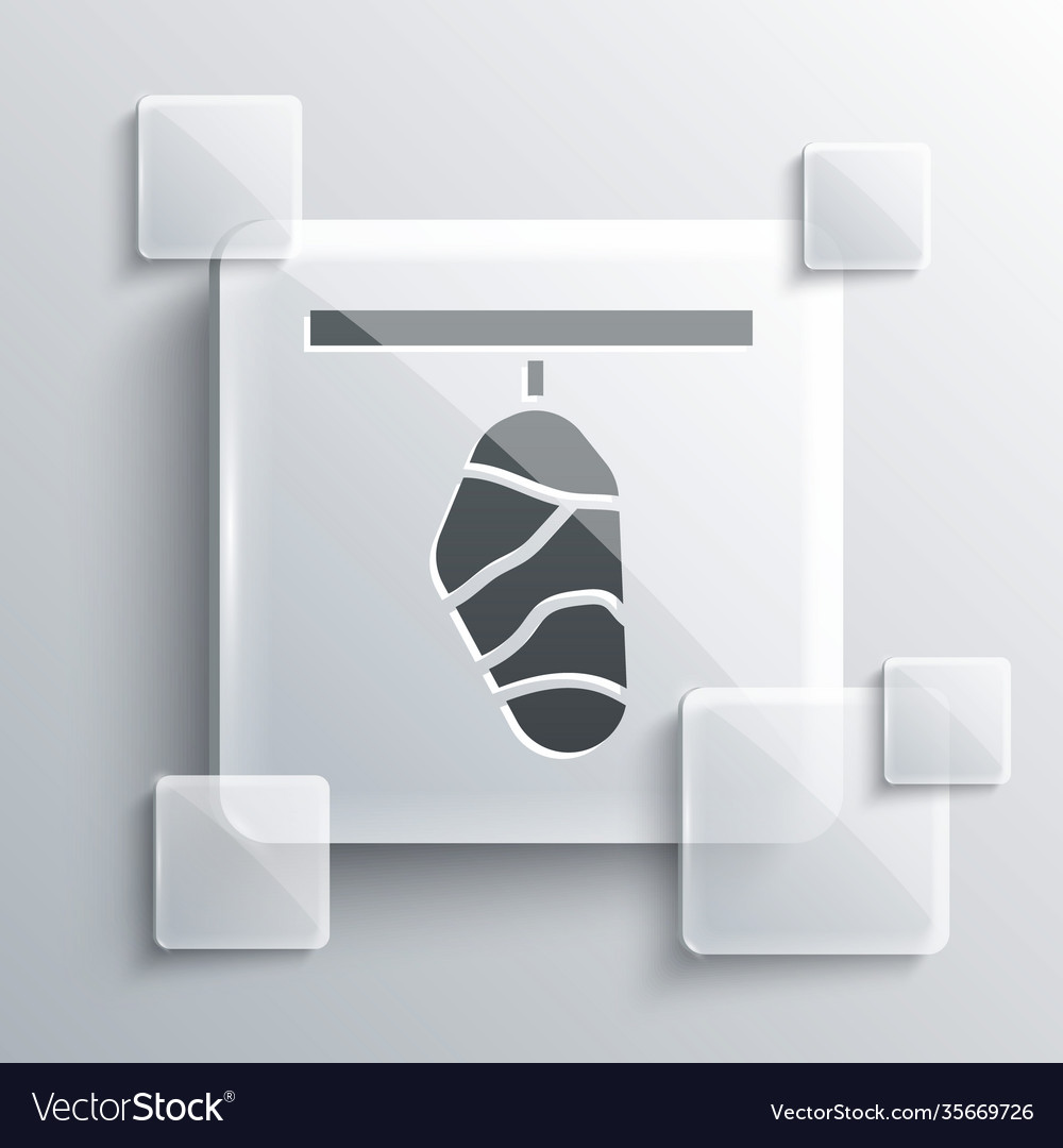 Grey butterfly cocoon icon isolated on