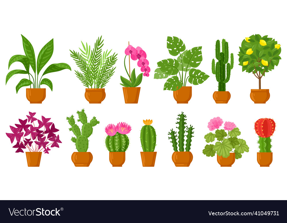 Cartoon house botanical decor potted plants Vector Image