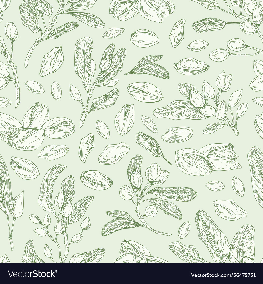 Seamless pistachio pattern with nuts shells vector image Seamless pistachio pattern with nuts shells